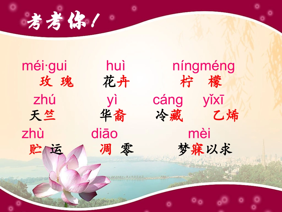 送你一束花zz_第2页