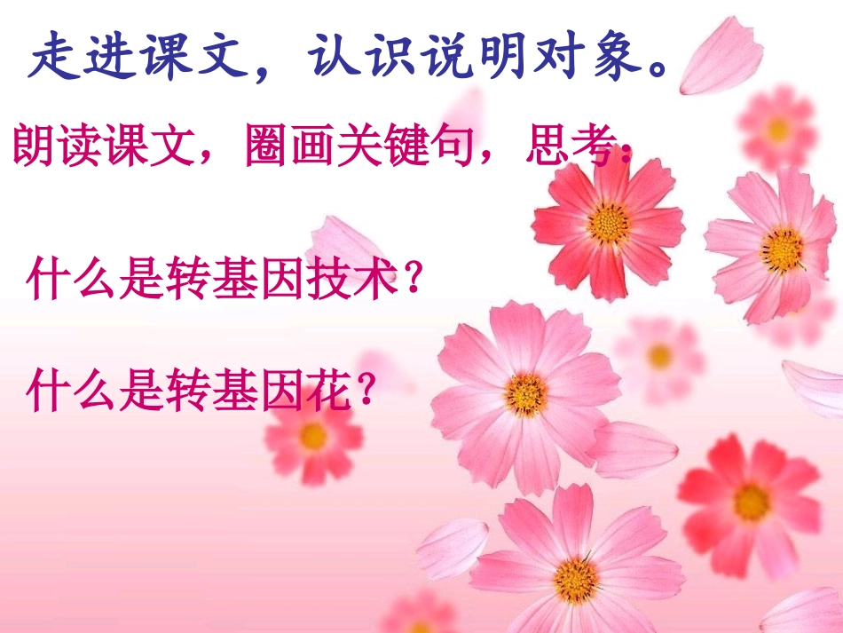 送你一束花zz_第3页