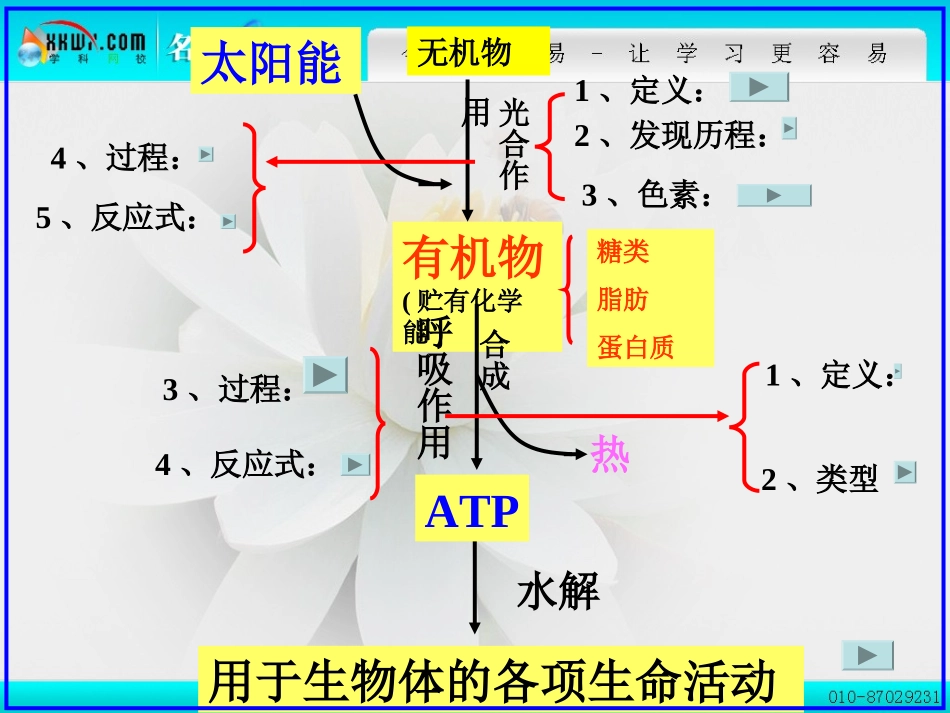 细胞呼吸和光合作用复习_第2页