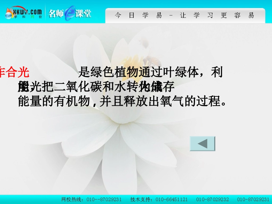 细胞呼吸和光合作用复习_第3页