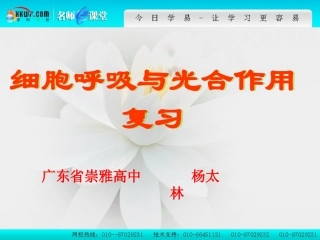 细胞呼吸和光合作用复习