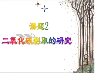 6.2二氧化碳制取的研究