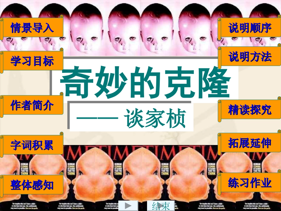 17《奇妙的克隆》_第1页