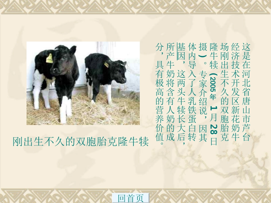 17《奇妙的克隆》_第3页