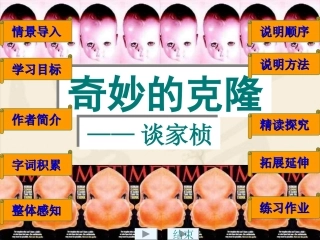 17《奇妙的克隆》