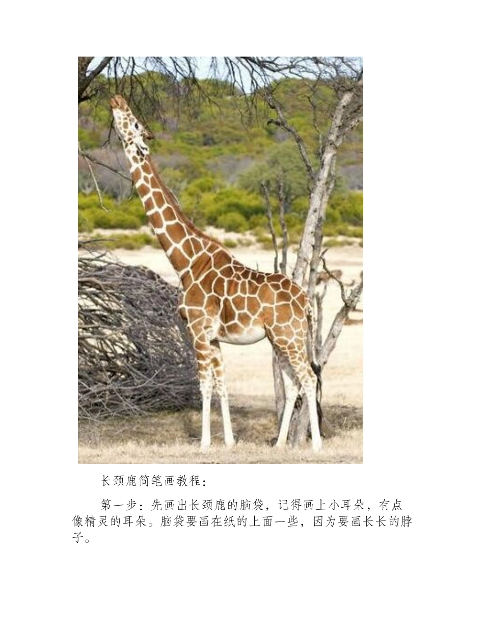 长颈鹿怎么画简笔画_简笔画教程_第2页