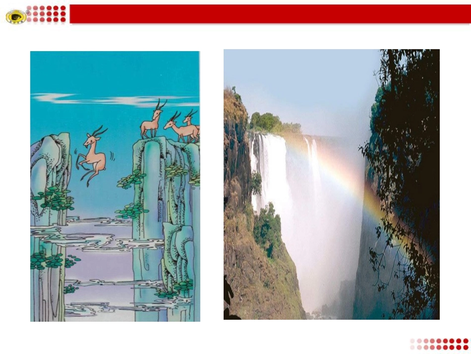 27--斑羚飞渡_第2页