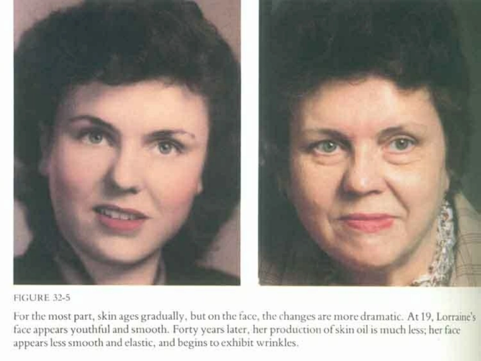 13细胞衰老与凋亡_第2页