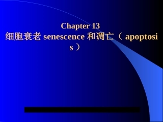 13细胞衰老与凋亡