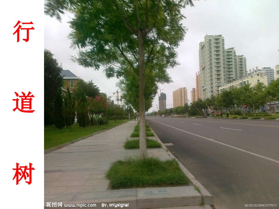 《百分数的意义和写法》_第2页