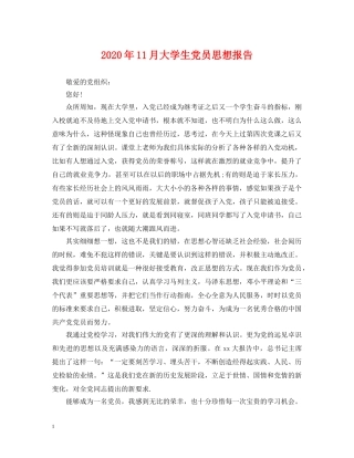 2024年11月大学生党员思想报告