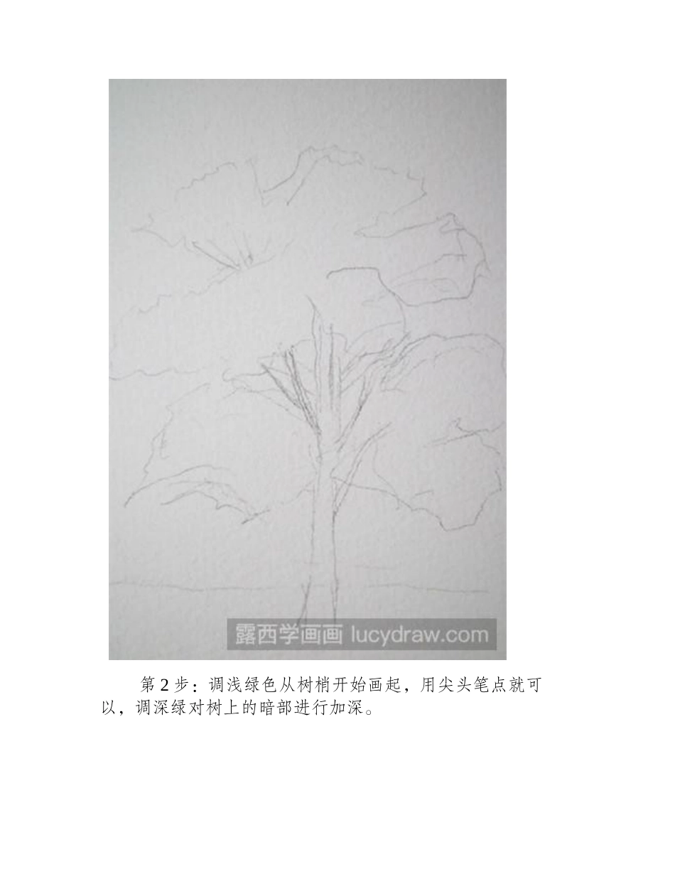 一树一风景水彩树教程水彩画教程_第2页