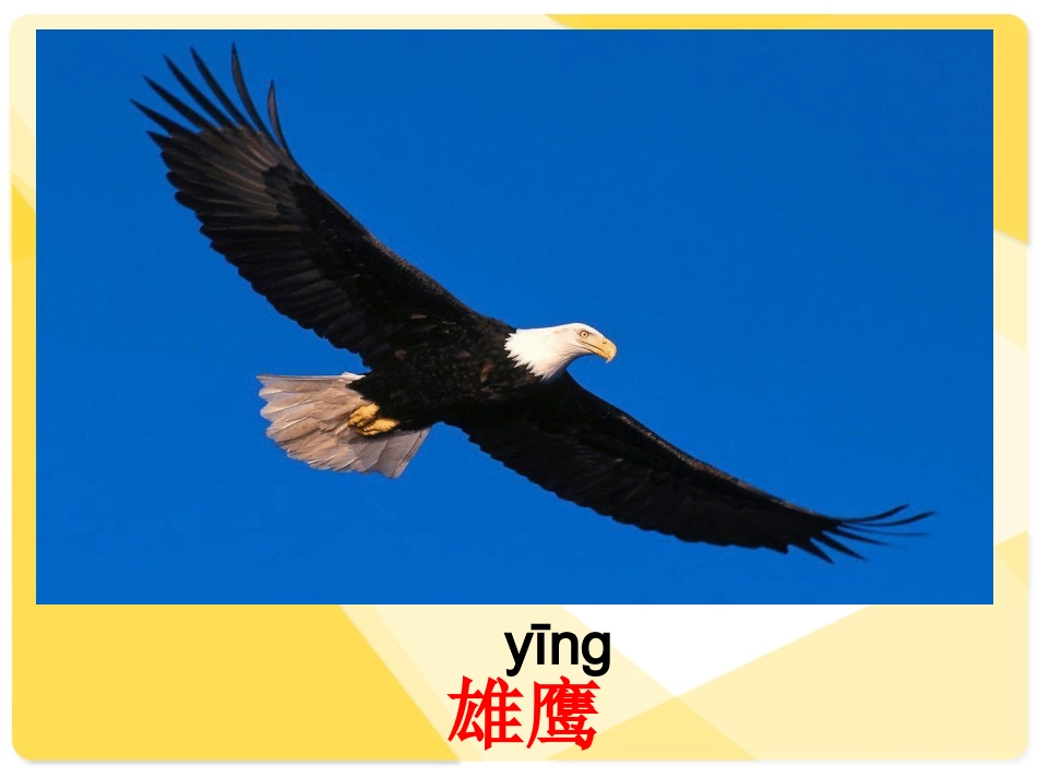 人教版二年级语文上册识字七[1]课件-2_第3页