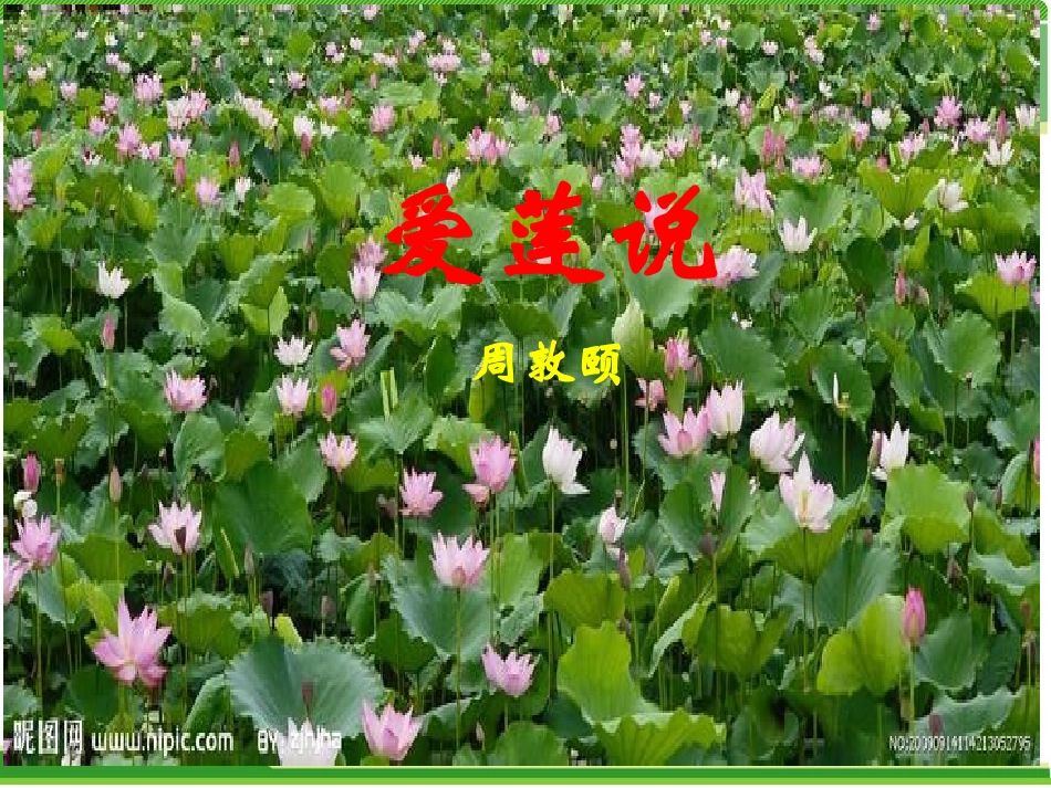 爱莲说-(3)_第3页