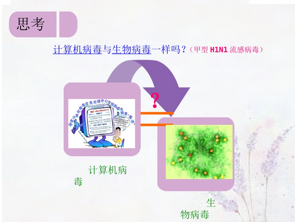 三计算机病毒_第3页