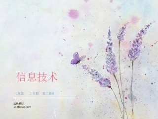 三计算机病毒