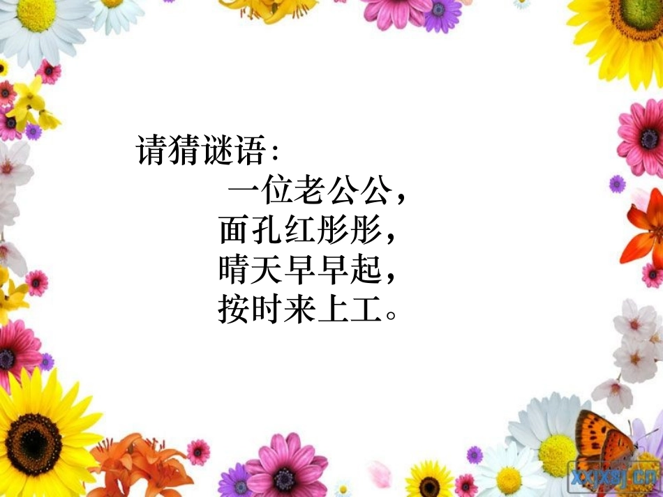 《太阳》教学课件_第2页