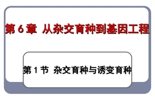 6.1杂交育种与诱变育种