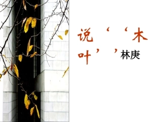 说木叶-优质课件