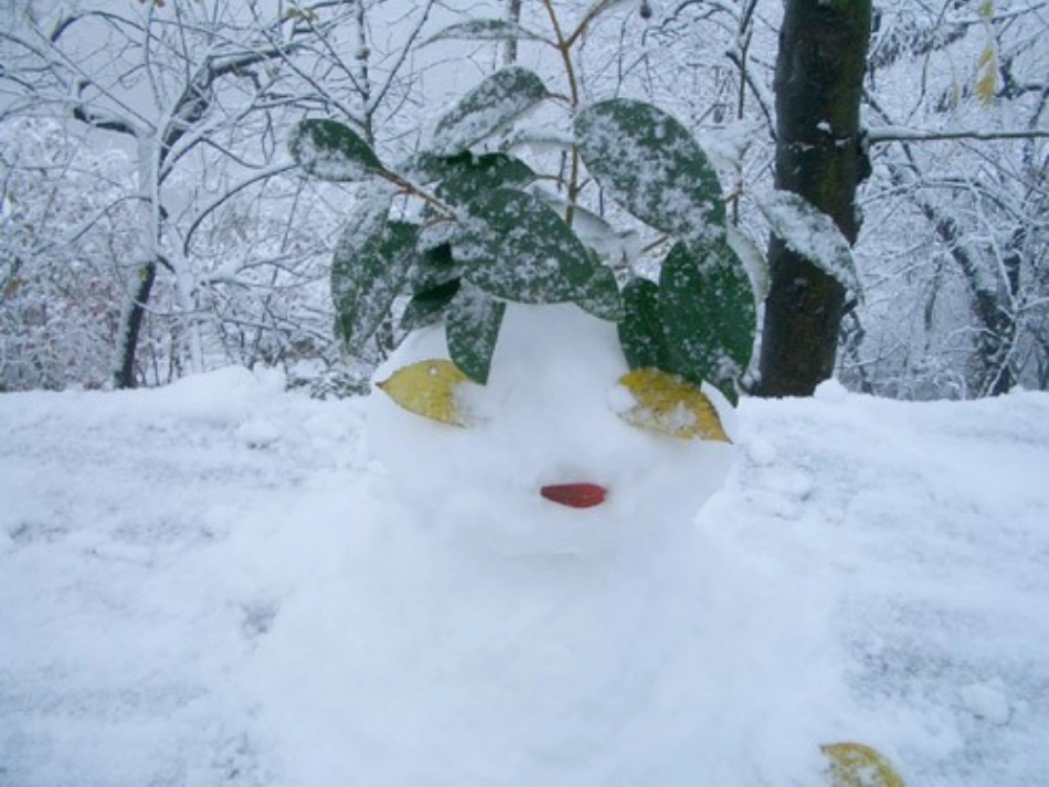 《雪地里的小画家》课件_第3页