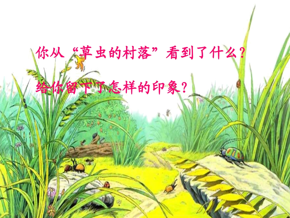 《草虫的村落》教学课件1_第2页