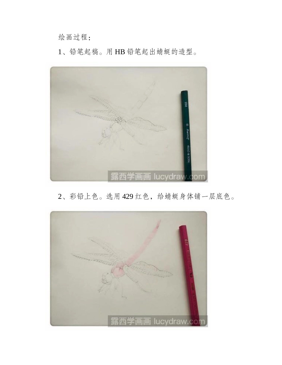 怎样画红蜻蜓彩铅画教程_第2页