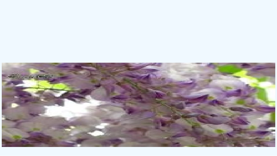 (部编)初中语文人教2011课标版七年级下册紫藤萝瀑布-(9)_第1页