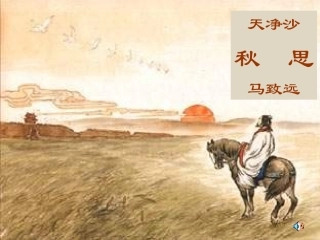 (部编)初中语文人教2011课标版七年级上册天净沙-秋思-(5)