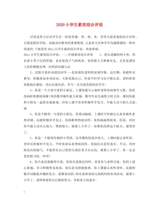 2024小学生素质综合评语