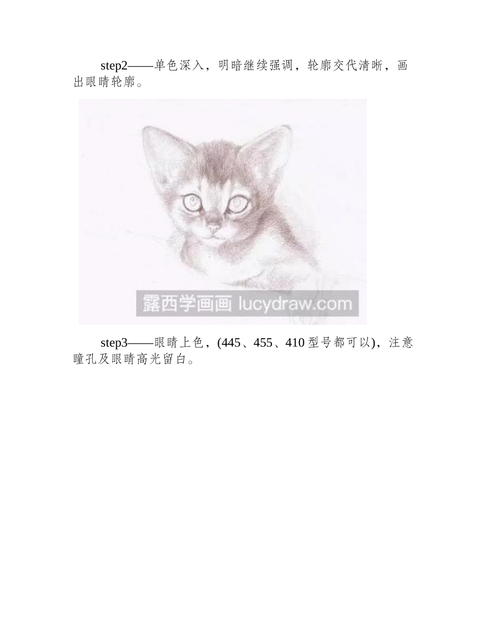小猫彩铅画教程图解彩铅画教程1_第2页