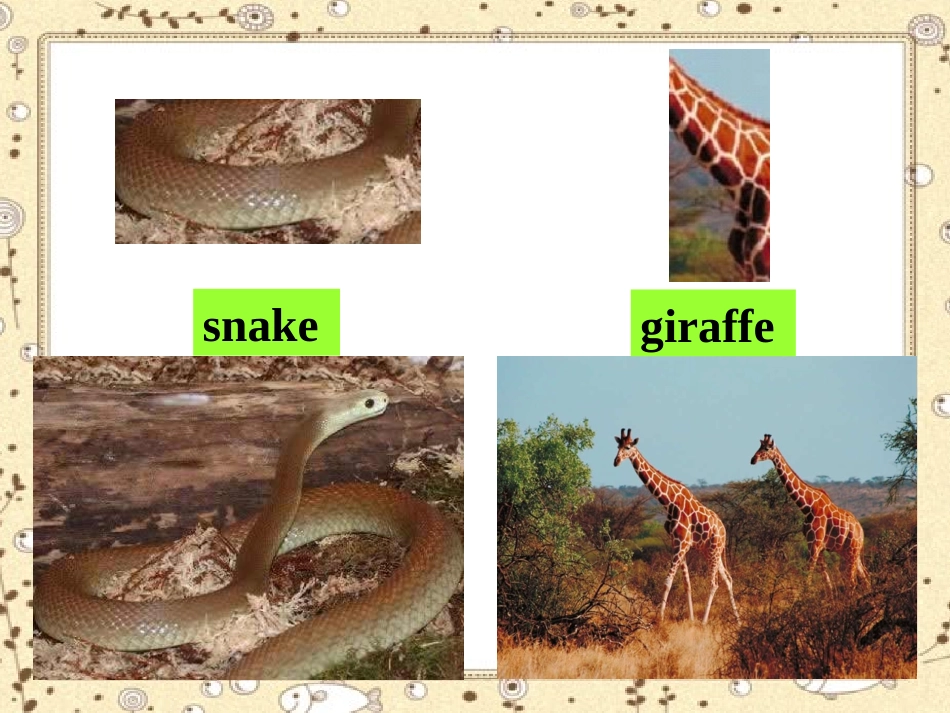 Does-it-eat-meat_第3页