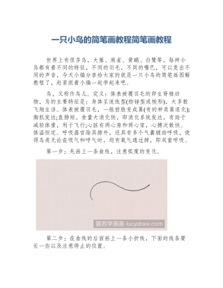 一只小鸟的简笔画教程简笔画教程