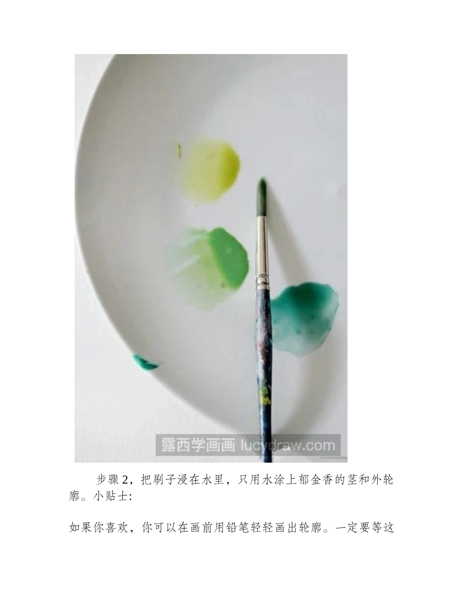 郁金香水彩画步骤水彩画教程_第2页