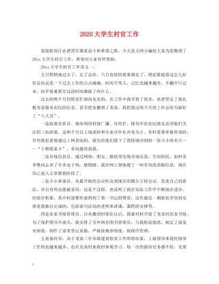 2024大学生村官工作