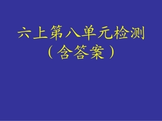 六上第八单元检测含答案