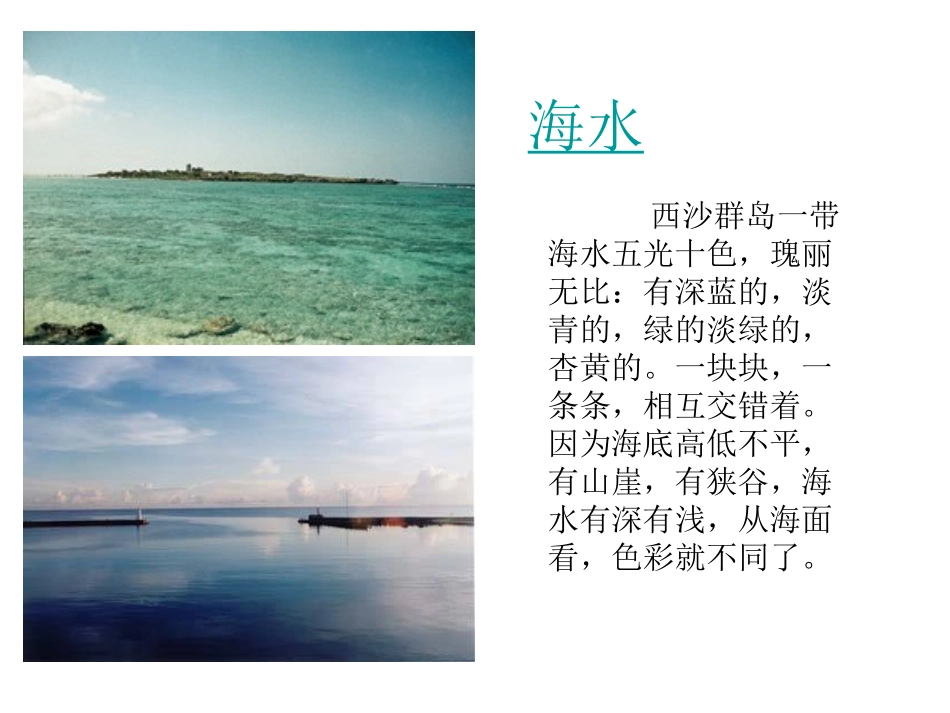 富饶的西沙群岛.ppt_第3页