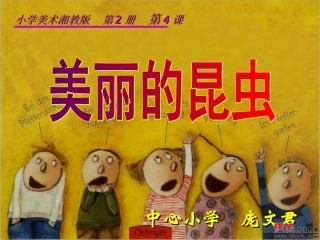 美丽的昆虫课件