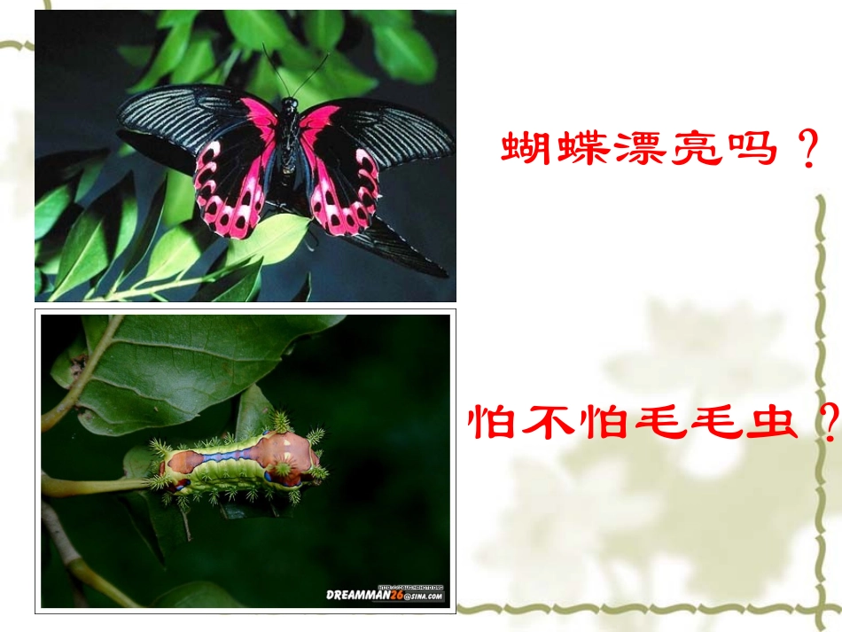 八年级生物-昆虫的生殖和发育-课件[1]_第1页