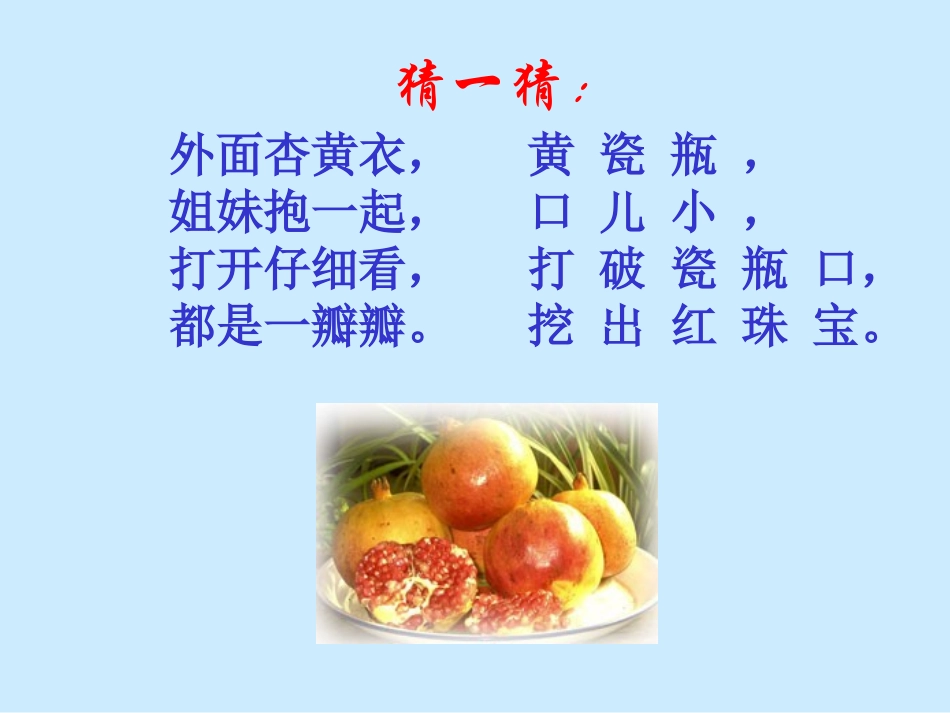 石榴教学课件_第1页