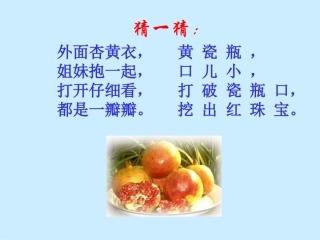 石榴教学课件
