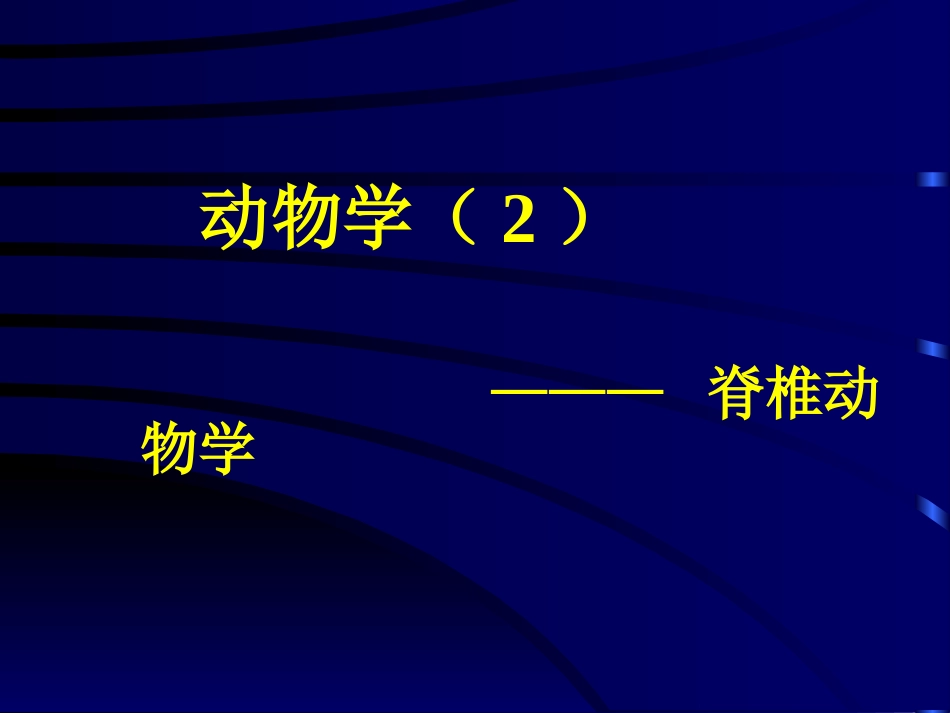 第14章脊索动物_第1页