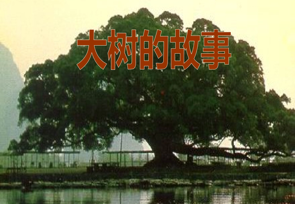 人美版小学二年级美术上册《大树的故事》课件PPT_第1页