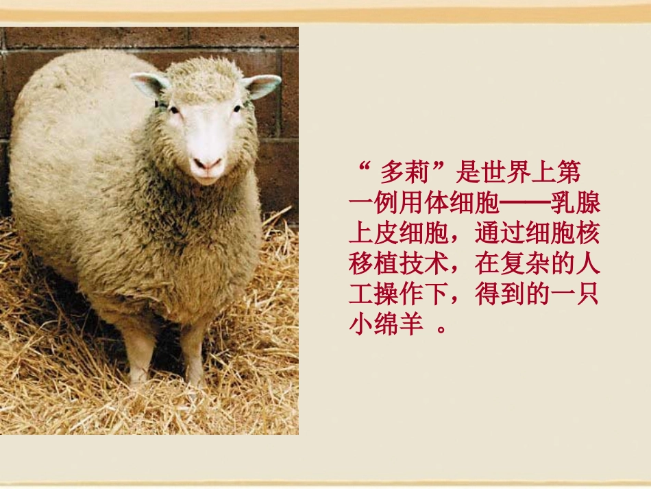 《奇妙的克隆》课件_第3页