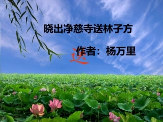 《晓出净慈寺送林子方》2