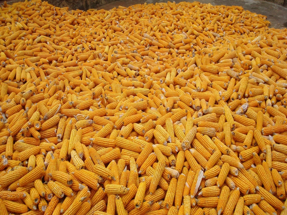 夜书所见ppt_第2页