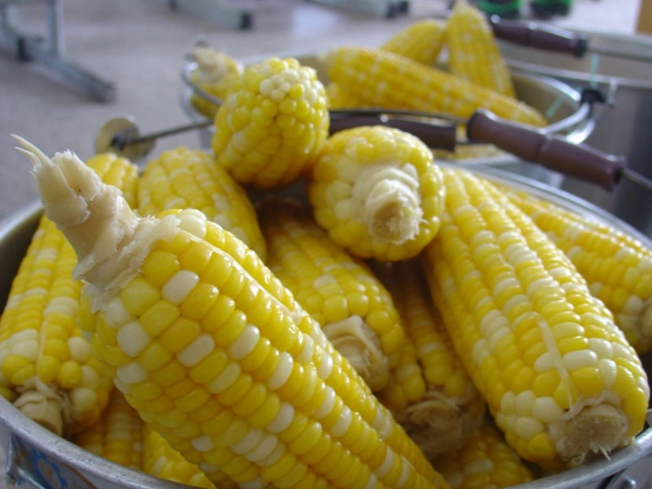 夜书所见ppt_第3页