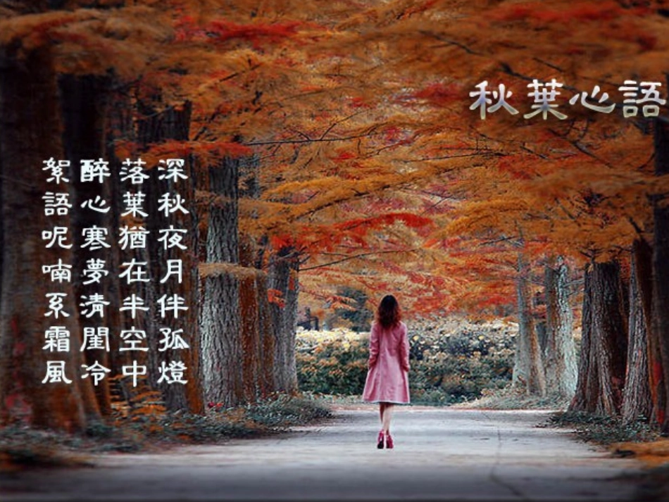 别总让后悔的泪流：秋天的怀念PPT_第2页