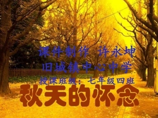 别总让后悔的泪流：秋天的怀念PPT