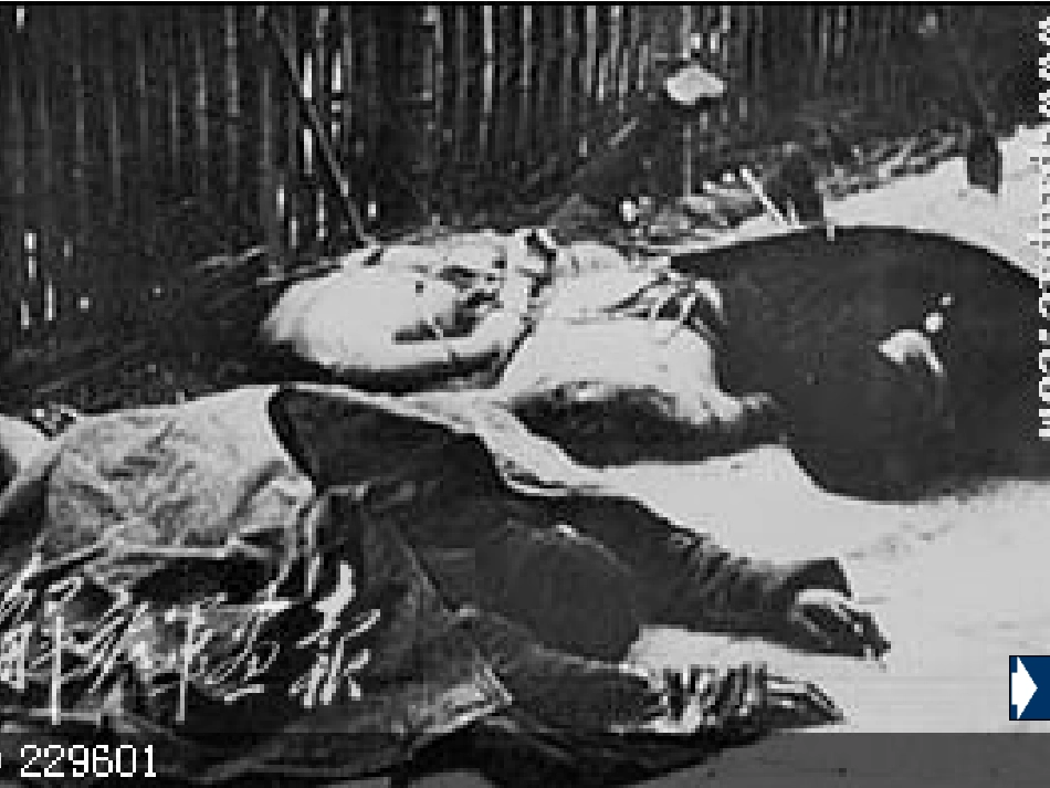 12星星之火可以燎原2课件_第3页