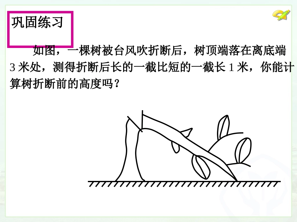 勾股定理应用_第3页